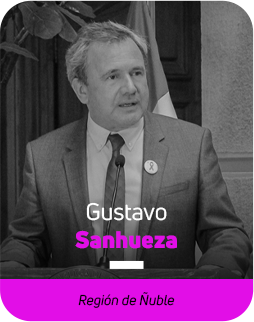 gustavo sanhueza